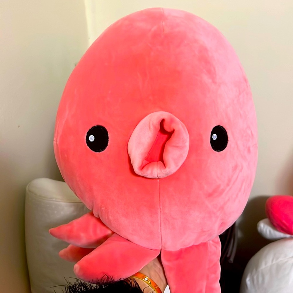 Toy